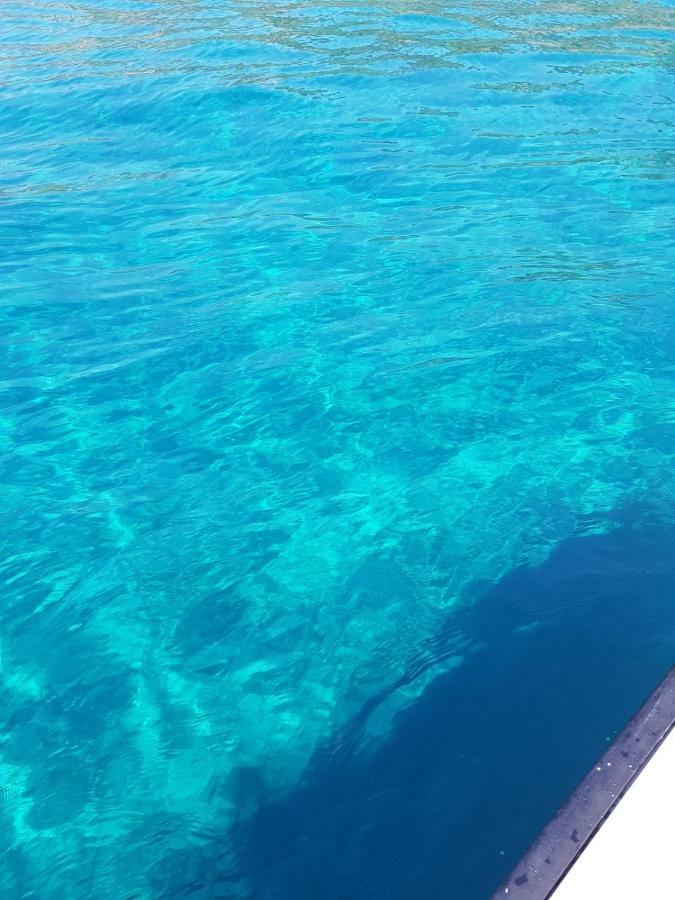 La Casa Del Maestro Attico Lägenhet Pisciotta Exteriör bild