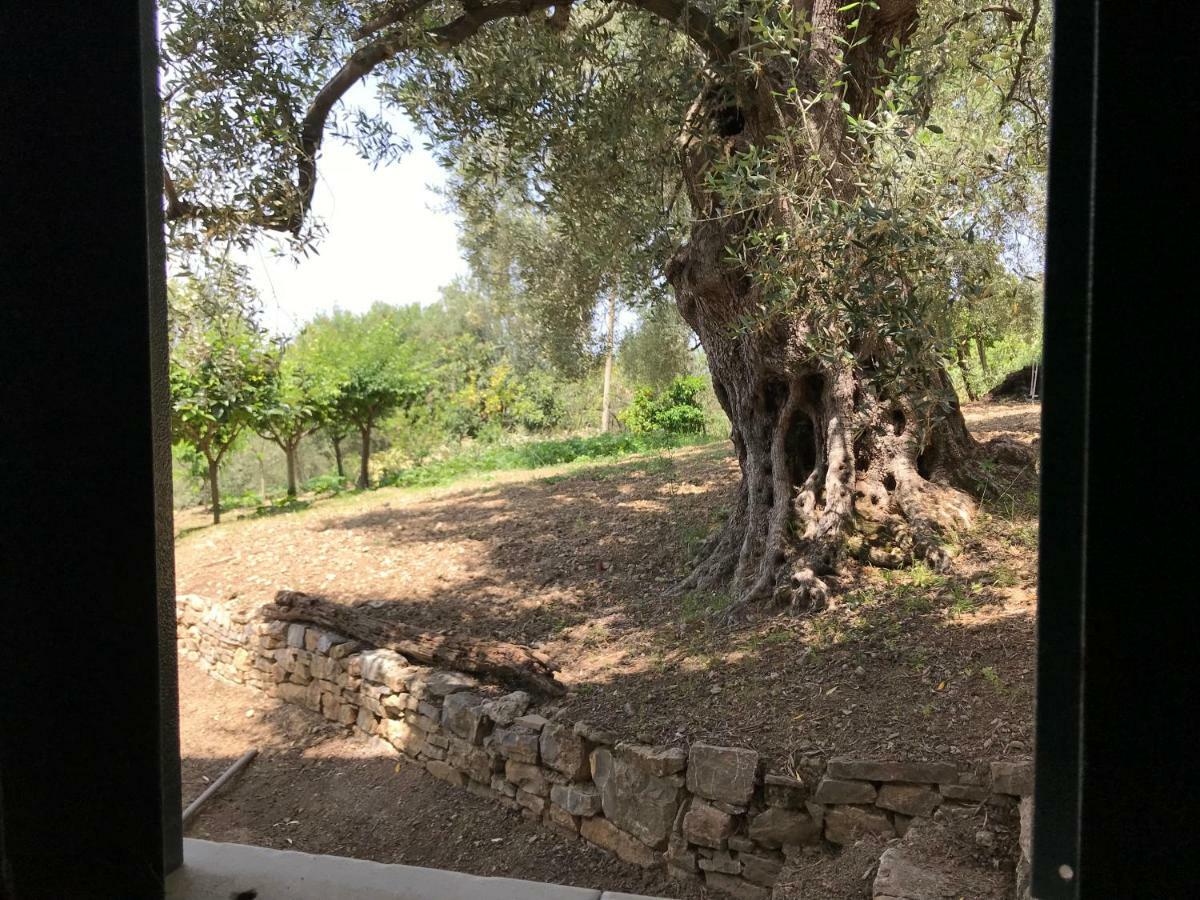 La Casa Del Maestro Attico Lägenhet Pisciotta Exteriör bild