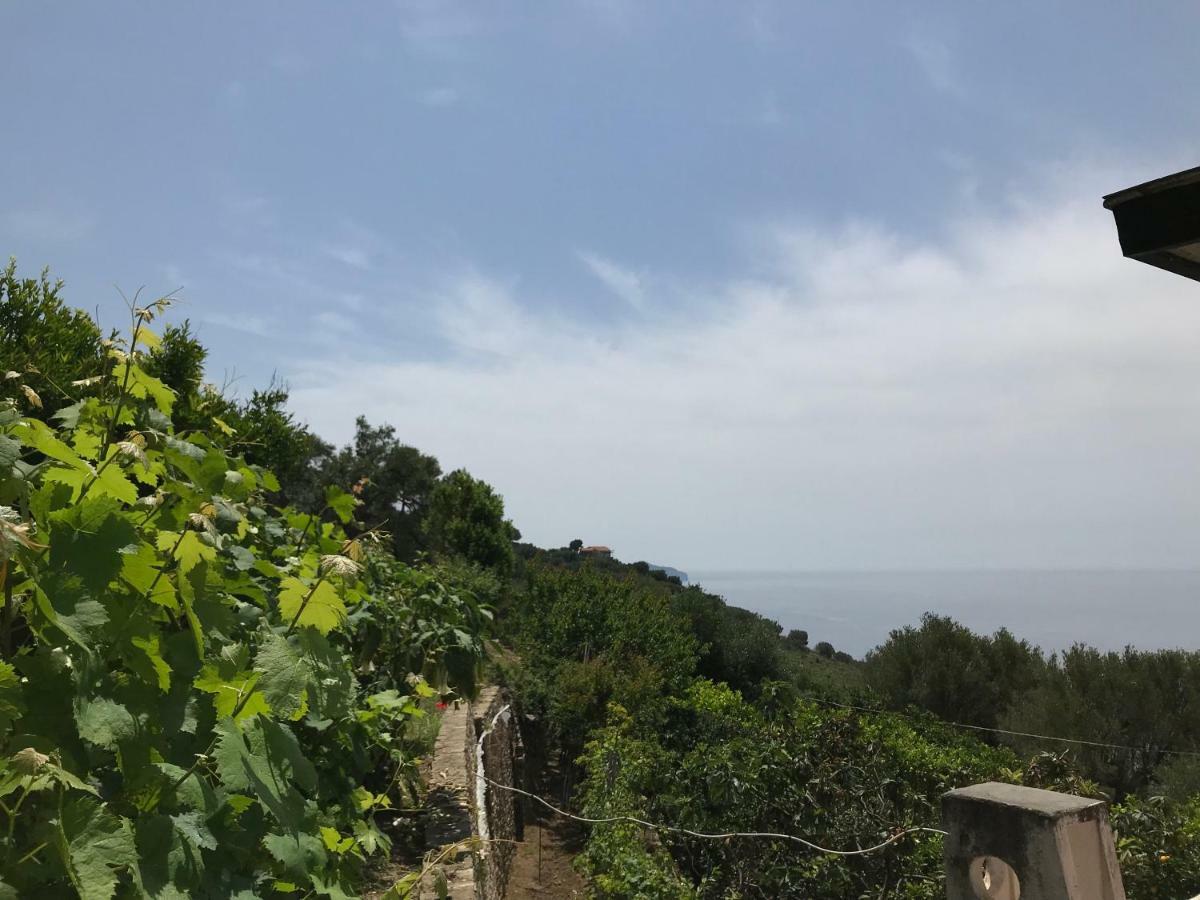 La Casa Del Maestro Attico Lägenhet Pisciotta Exteriör bild