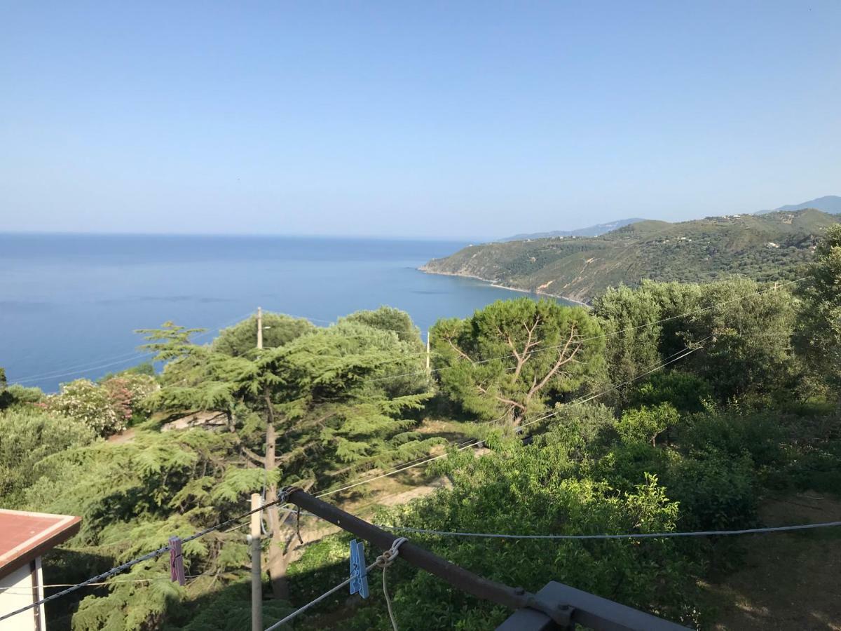 La Casa Del Maestro Attico Lägenhet Pisciotta Exteriör bild