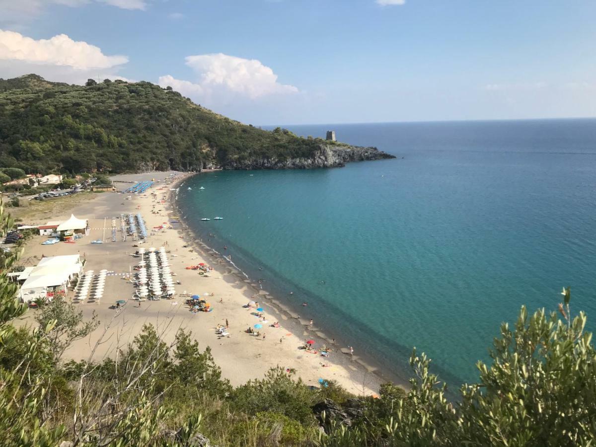 La Casa Del Maestro Attico Lägenhet Pisciotta Exteriör bild