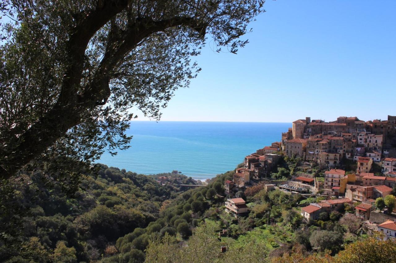 La Casa Del Maestro Attico Lägenhet Pisciotta Exteriör bild