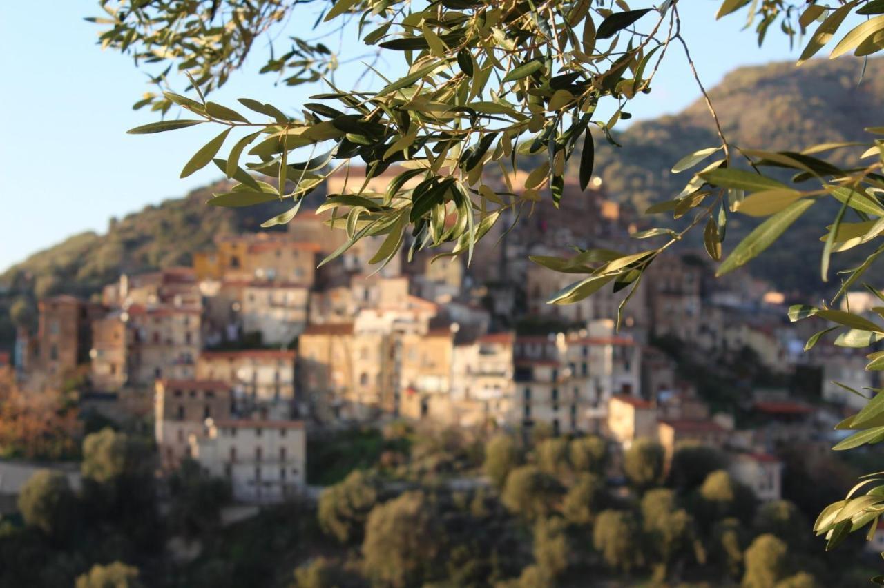 La Casa Del Maestro Attico Lägenhet Pisciotta Exteriör bild